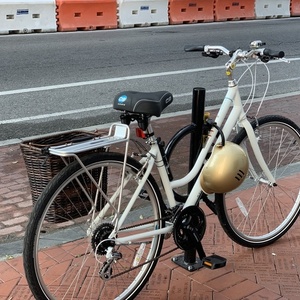 2019 Raleigh Capri Carbon 3 White