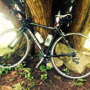 2016 Cannondale Evo Black