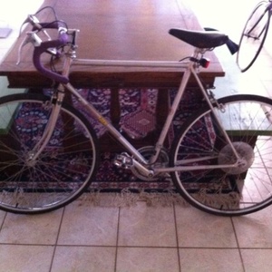 1980 IBEX  Silver or Gray