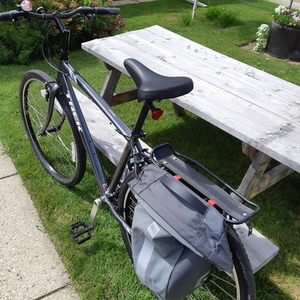 2019 Trek MN Verve 1 20"/0003 20" Black