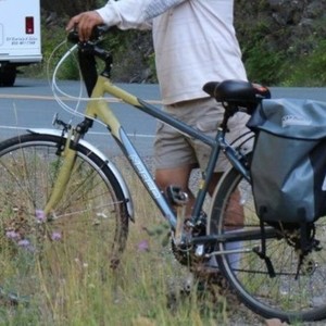 2012 Norco Bikes Yellow or Gold