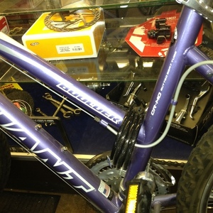 Giant  Purple
