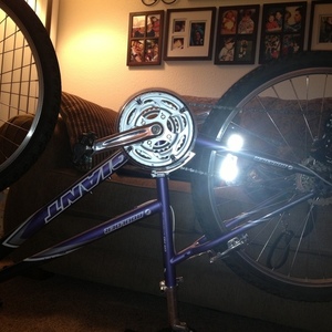 Giant  Purple
