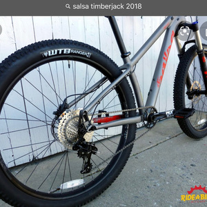 2018 Salsa Timberjack Silver, gray or bare metal