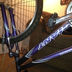 Giant  Purple