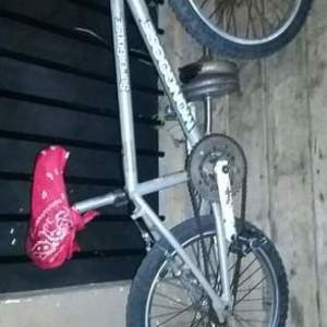2019 Mongoose mongoose suergooss comp Silver, gray or bare metal