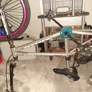 2019 Mongoose mongoose suergooss comp Silver, gray or bare metal