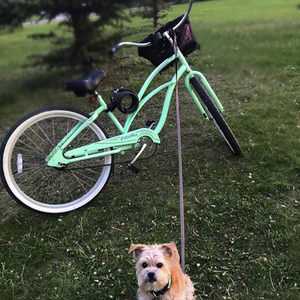2014 Electra Cruiser-1 women’s Teal