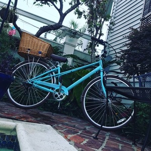 2019 Schwinn Teal