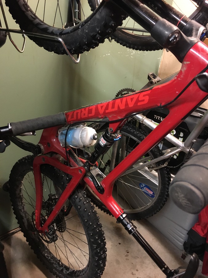 maxxis race 29