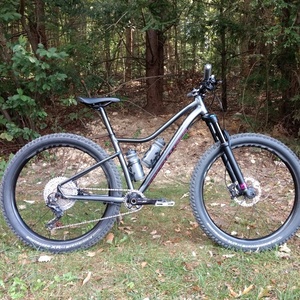 2018 Specialized Ruze Silver, gray or bare metal and Pink