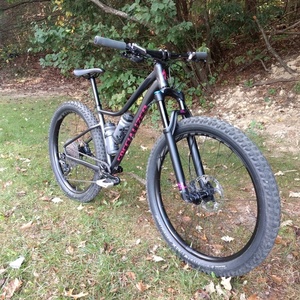 2018 Specialized Ruze Silver, gray or bare metal and Pink