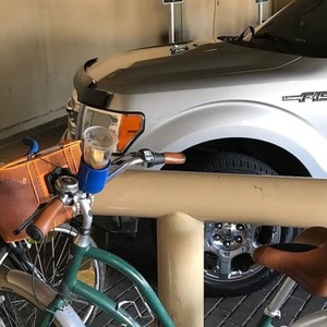 2003 Electra Townie Green