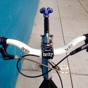 2001 Santa Cruz Chameleon  Silver or Gray