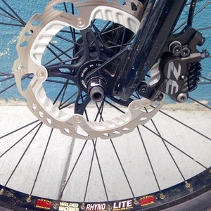 2001 Santa Cruz Chameleon  Silver or Gray