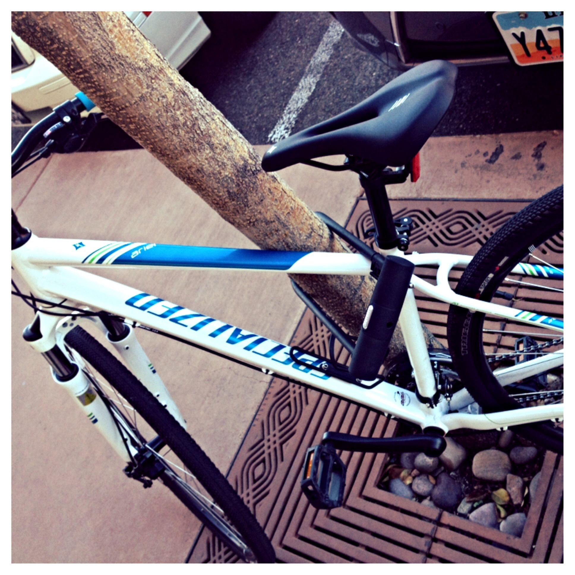 specialised womens hybrid