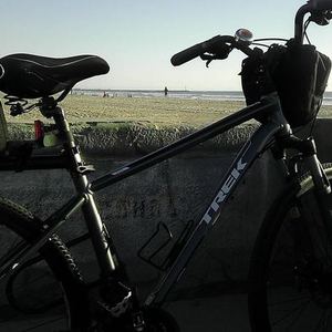2014 Trek 8.3 DS  Silver or Gray