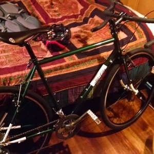2015 all city space horse