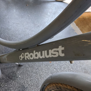 Other Robuust Karakter Silver, gray or bare metal