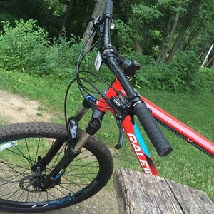 Raleigh Talus Red