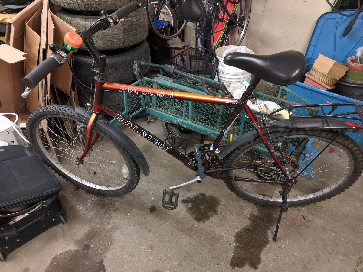 raleigh ambush bike price