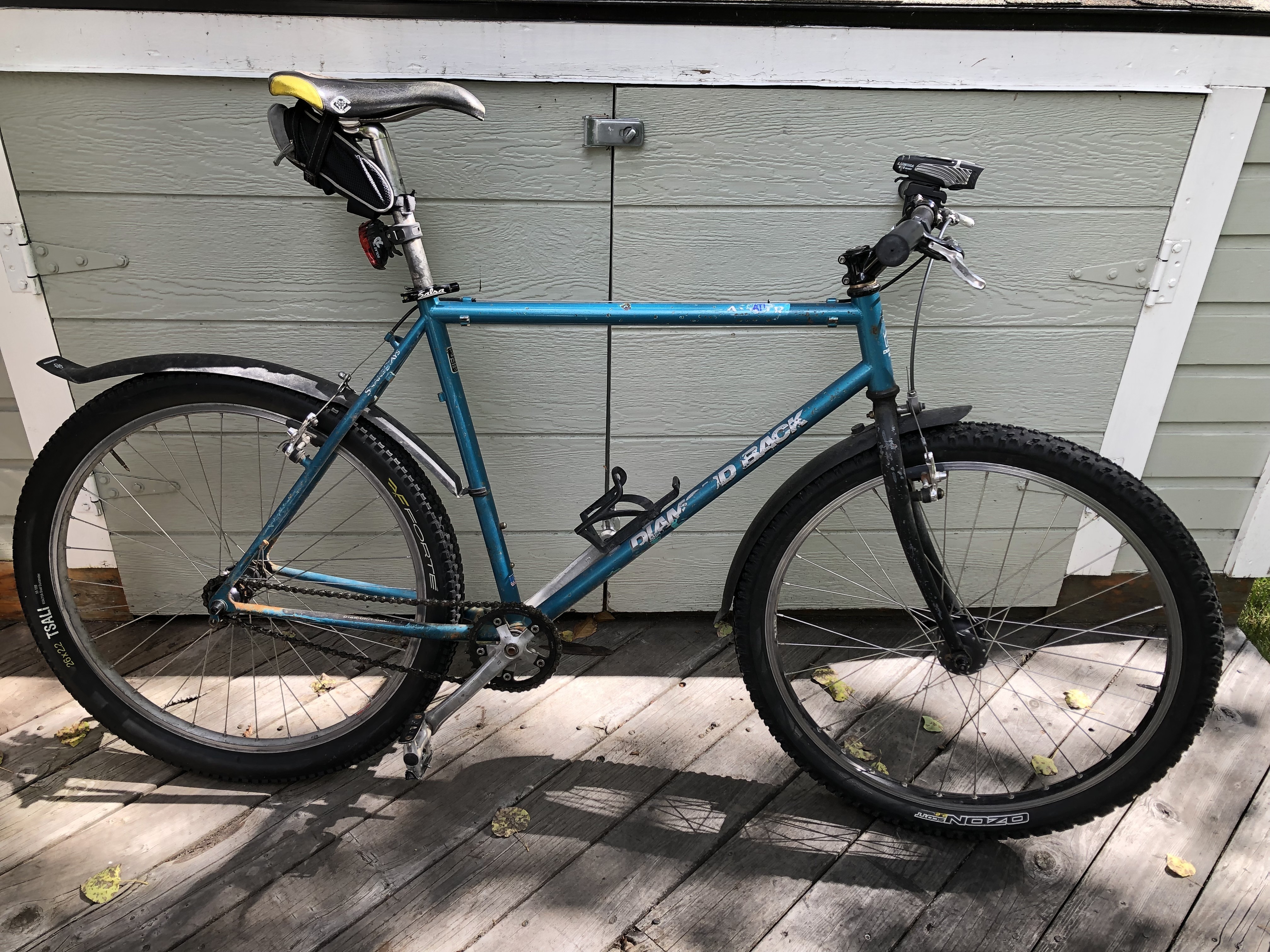 Diamondback Mountain