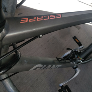 2017 Giant Escape 3 Silver, gray or bare metal