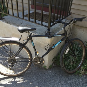 Trek 800 cargo bike (rear storage) Black and Teal