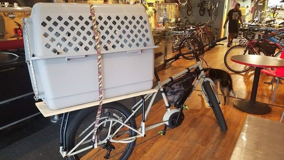 Cargo Bike Rear photo