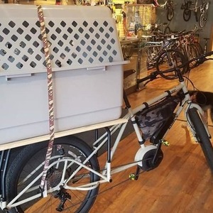 2019 Surly Big Easy cargo bike (rear storage) White and Brown