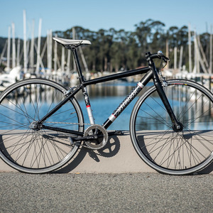 Specialized Langster Black