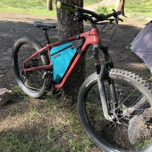 2019 Salsa Woodsmoke XO1 Red and Teal