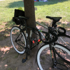2019 Golden Cycles Vader Fixie Black