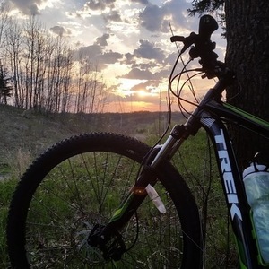 2015 Trek Marlin 6 Green and Black