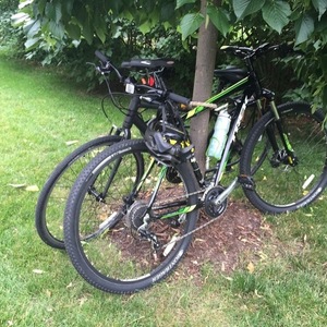 2015 Trek Marlin 6 Green and Black
