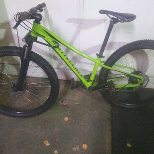 2019 Specialized Pitch Green and Black