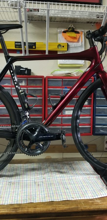 allied cycle works alfa