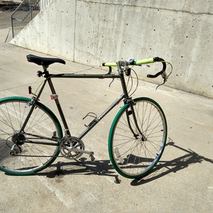 1974 Schwinn World Tour Silver, gray or bare metal
