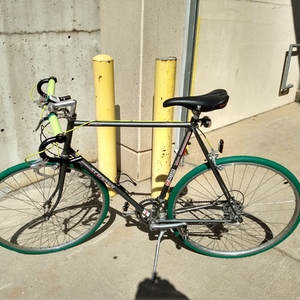 1974 Schwinn World Tour Silver, gray or bare metal