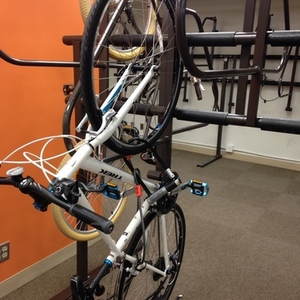 2015 Trek 7.2 FX WSD  White