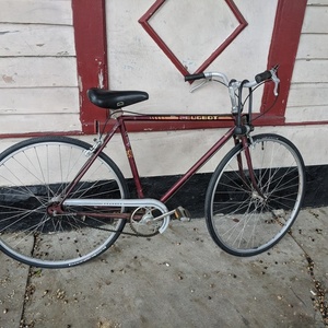 1970 Peugeot 3 speed converted to single Purple