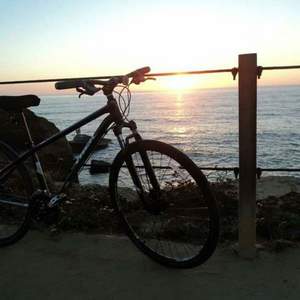 2014 Trek 8.3 DS 15.5 Starry Night  Black