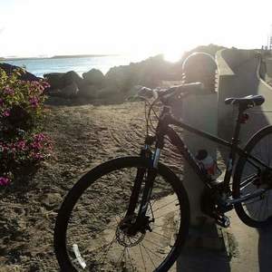 2014 Trek 8.3 DS 15.5 Starry Night  Black