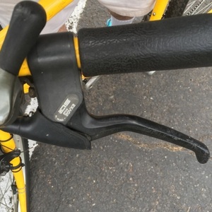 1998 Bianchi Forte Yellow or Gold