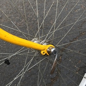 1998 Bianchi Forte Yellow or Gold