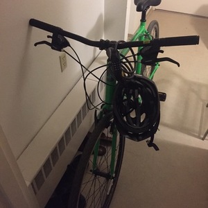 2019 Giant Escape 3 Green