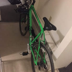 2019 Giant Escape 3 Green