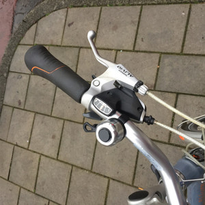 Gazelle Allure Silver, gray or bare metal