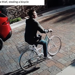 2018 Critical Cycles Beaumont 7 Silver, gray or bare metal