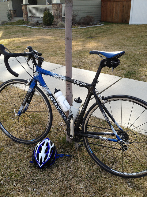 giant tcr c2, great bargain Save 81 